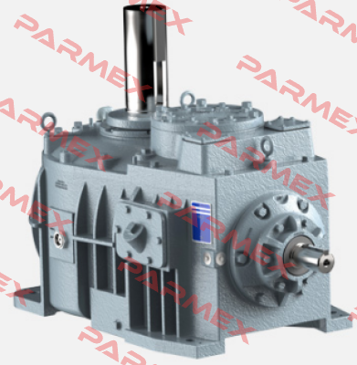 500-1311 Amarillo Gear