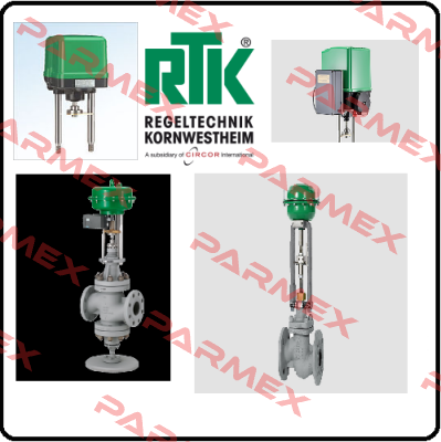 30E-28   RTK