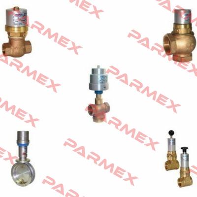 RK-B-3/4" PTFE+EPDM Valvaut