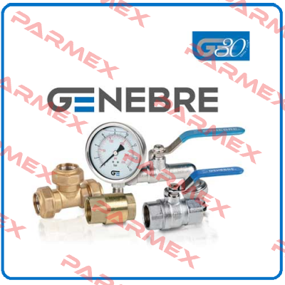 Spring for Genenbre valve GN-17 S5 F07  Genebre