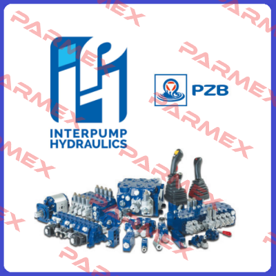 31230652010/20023065201 Pzb
