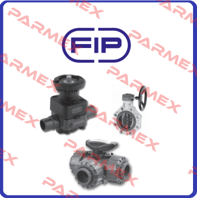 VEE  DN 65÷100 Fip