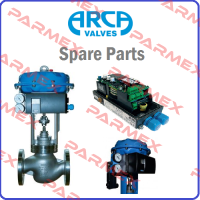 GARNT P1 W8 K6,3L LK0 DN65 PN40 1.4922 ARCA