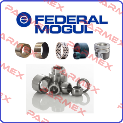 202325A Federal Mogul