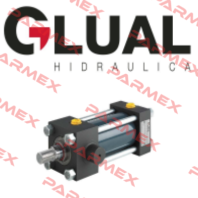 FCE005688 Glual Hydraulics
