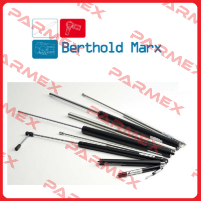ST 1200500D8 Berthold Marx