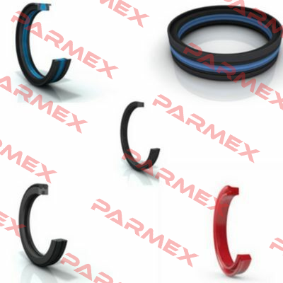 CH 284204/NEI Polypac