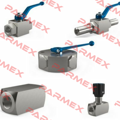 BKH-DN13-1/2"NPT-20639-PA-DW-6-I-24VDC-ST Mha Zentgraf
