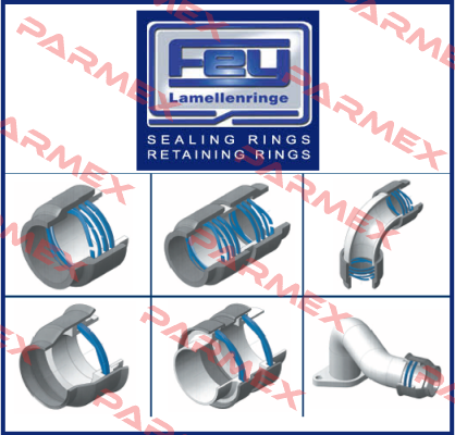 PPS001385/FK 7 - DSW 75,00 Fey