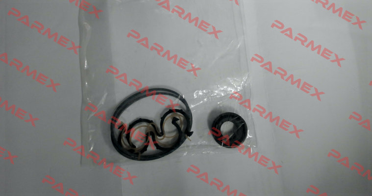 seal kit for 10A5X026 Caproni