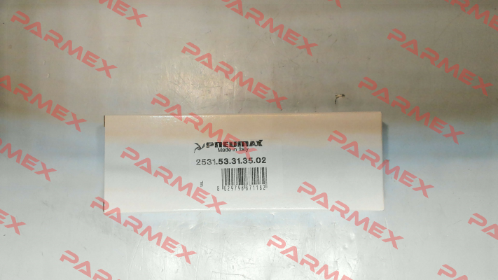 2531.53.31.35.02 (24V/DC) Pneumax