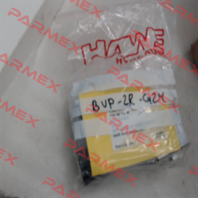 BVP-2R-G24 Hawe