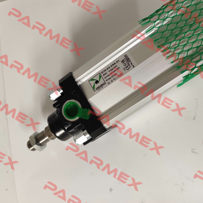 1319.63.285.01 Pneumax
