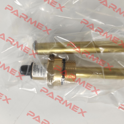 NR1IN-MA-SR30-L370-O-O-MS-M12 Goldammer