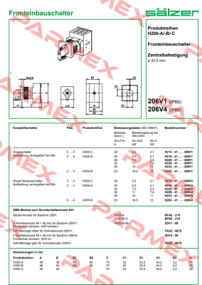 H226-41300-206V4 Salzer