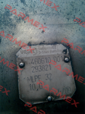 293821 Vogel