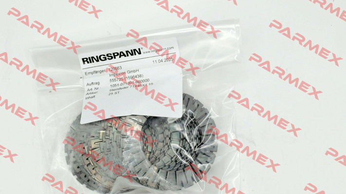 1051-071001-000000 Ringspann