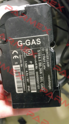 STE4,5 B0.36/6-01L GAS Weishaupt