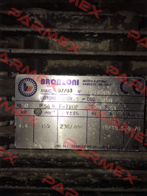 0218389  Bronzoni