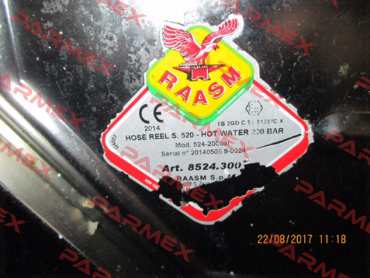 8524.300 Raasm