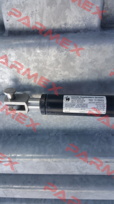 122344.1  5000N Hahn Gasfedern