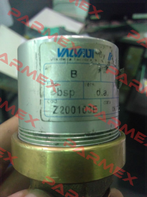 Z200103E Valvaut