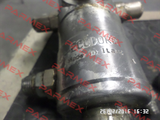 8823 Ecodora (Raasm)
