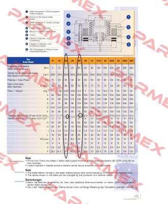 GSBT-K5-200 + Nabe- GSBT-K5-HUB-25  Temporiti s.r.l.
