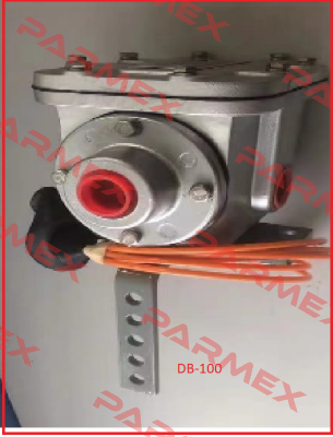 Model DB-100 (050089) Ramsey